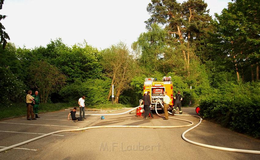 Waldbrand Bergisch Gladbach Bensberg P015.JPG